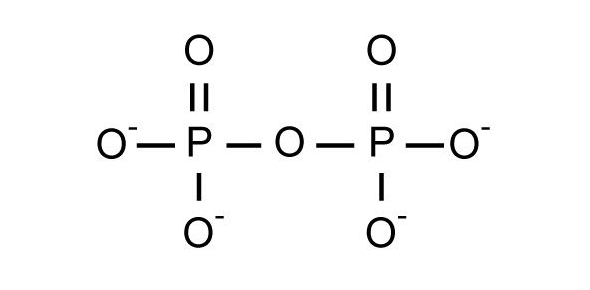 Polyatomic Ion And Its Types Flashcards